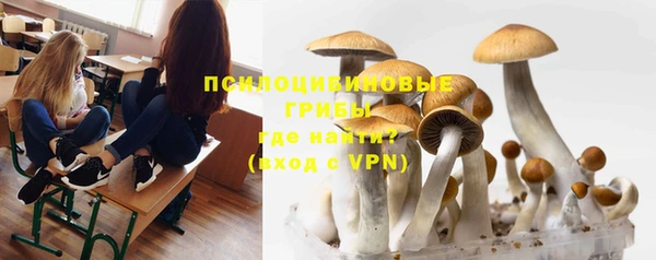 спайс Бородино