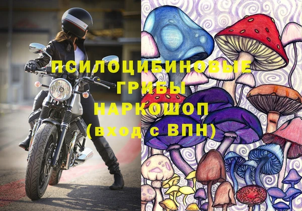 каннабис Богданович