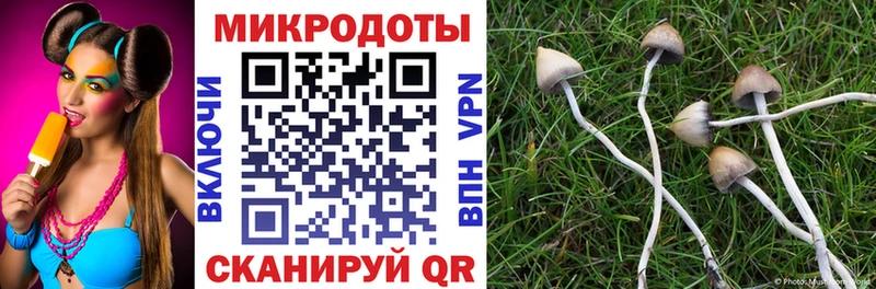 купить цена Карабаш Галлюциногенные грибы прущие грибы